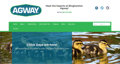 Desktop Screenshot of binghamtonagway.com